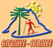 T 1                      ESQUEMA DE TRABAJO