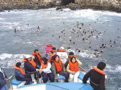 TOURS CONOCIENDO LAS ISLAS PALOMINO Y SAN LORENZO